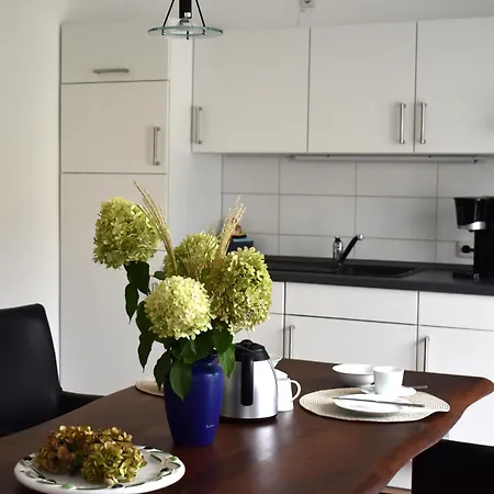 Apartment Ilonas *